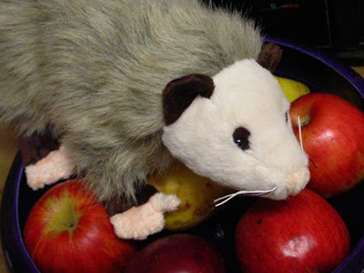 webkinz is not gay black man gay pictures